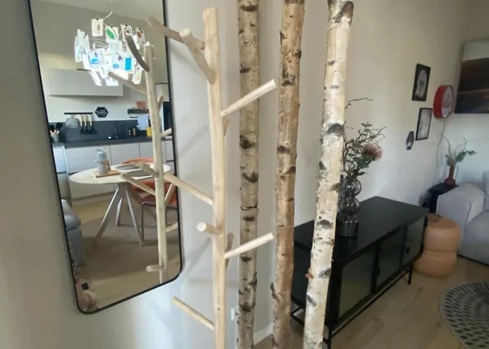 Cues11 アパート ベルンカステル・クース